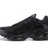 Nike TN Air Max Plus All Black