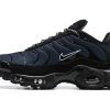 Nike Air Max Plus “Unity”