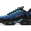 Nike Air Max Plus Deep Blue