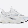 Dior B22 White Silver