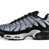 Nike Air Max Plus Sliver